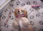bailey22