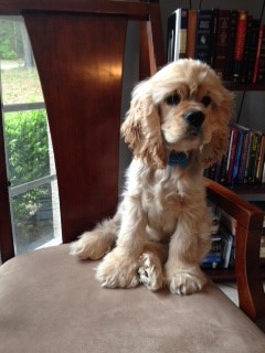 Charlie