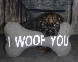 woof