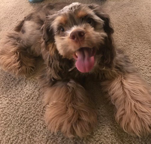6 mo