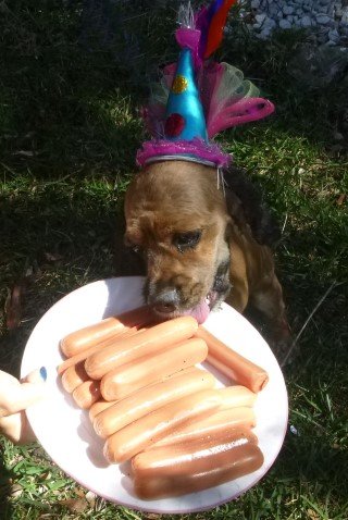 roxy